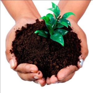 Vermicompost-utkarsh-neem-oil-plant-growth-neem-oil-plant-bio-neem-oil-plant-fertilizer-organic-compost-utkarsh-fertilizer-3